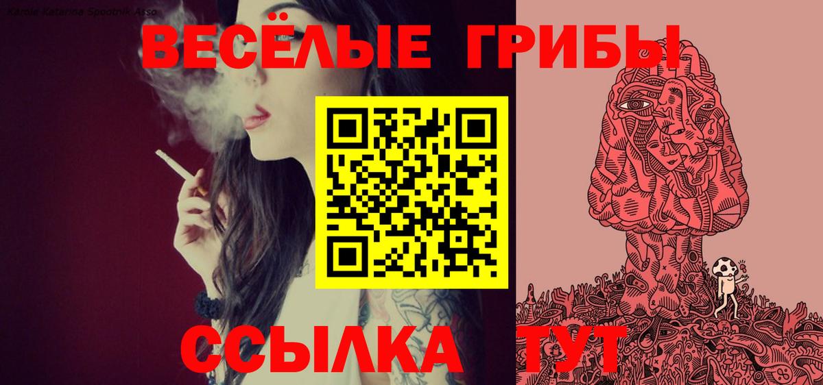 Псилоцибиновые грибы Cubensis  Вход с VPN  где продают наркотики  Кубинка 